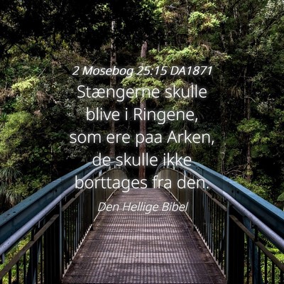 Picture 04 - 2 Mosebog 25:15 DA1871 - Stængerne skulle blive i Ringene, som ere paa - Bible Verse Picture