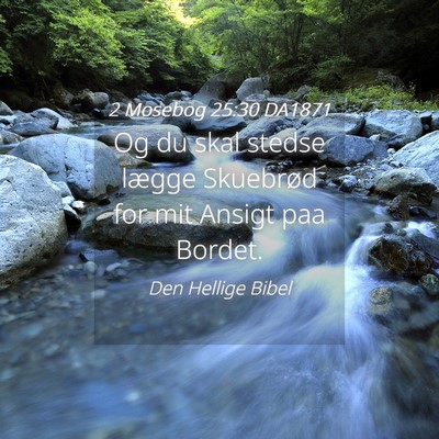 Picture 04 - 2 Mosebog 25:30 DA1871 - Og du skal stedse lægge Skuebrød for mit Ansigt - Bible Verse Picture