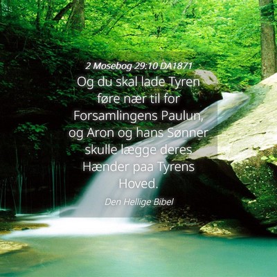 Picture 04 - 2 Mosebog 29:10 DA1871 - Og du skal lade Tyren føre nær til for - Bible Verse Picture