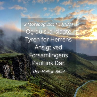Picture 04 - 2 Mosebog 29:11 DA1871 - Og du skal slagte Tyren for Herrens Ansigt ved - Bible Verse Picture