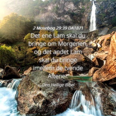 Picture 04 - 2 Mosebog 29:39 DA1871 - Det ene Lam skal du bringe om Morgenen, og det - Bible Verse Picture