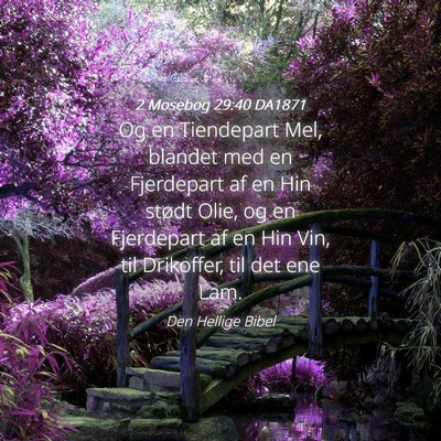Picture 04 - 2 Mosebog 29:40 DA1871 - Og en Tiendepart Mel, blandet med en Fjerdepart - Bible Verse Picture