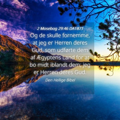 Picture 04 - 2 Mosebog 29:46 DA1871 - Og de skulle fornemme, at jeg er Herren deres - Bible Verse Picture