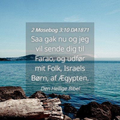 Picture 04 - 2 Mosebog 3:10 DA1871 - Saa gak nu og jeg vil sende dig til Farao, og - Bible Verse Picture
