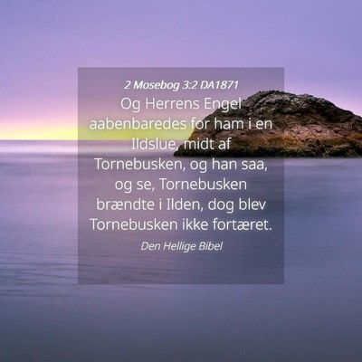 Picture 04 - 2 Mosebog 3:2 DA1871 - Og Herrens Engel aabenbaredes for ham i en - Bible Verse Picture