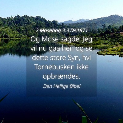 Picture 04 - 2 Mosebog 3:3 DA1871 - Og Mose sagde: Jeg vil nu gaa hen og se dette - Bible Verse Picture