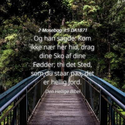 Picture 04 - 2 Mosebog 3:5 DA1871 - Og han sagde: Kom ikke nær her hid, drag dine - Bible Verse Picture