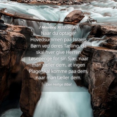 Picture 04 - 2 Mosebog 30:12 DA1871 - Naar du optager Hovedsummen paa Israels Børn ved - Bible Verse Picture