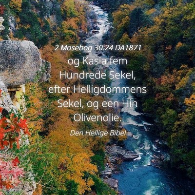 Picture 04 - 2 Mosebog 30:24 DA1871 - og Kasia fem Hundrede Sekel, efter Helligdommens - Bible Verse Picture
