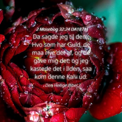 Picture 04 - 2 Mosebog 32:24 DA1871 - Da sagde jeg til dem: Hvo som har Guld, de maa - Bible Verse Picture