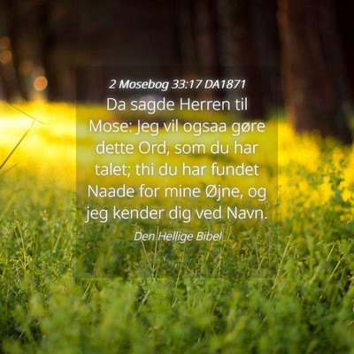 Picture 04 - 2 Mosebog 33:17 DA1871 - Da sagde Herren til Mose: Jeg vil ogsaa gøre - Bible Verse Picture
