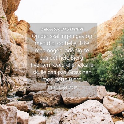 Picture 04 - 2 Mosebog 34:3 DA1871 - Og der skal ingen gaa op med dig, og heller ikke - Bible Verse Picture