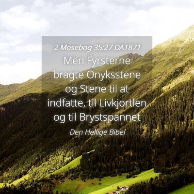 Picture 04 - 2 Mosebog 35:27 DA1871 - Men Fyrsterne bragte Onyksstene og Stene til at - Bible Verse Picture