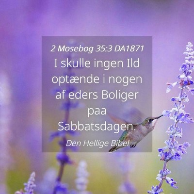 Picture 04 - 2 Mosebog 35:3 DA1871 - I skulle ingen Ild optænde i nogen af eders - Bible Verse Picture