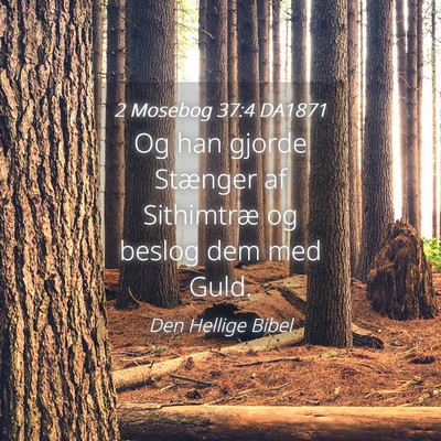 Picture 04 - 2 Mosebog 37:4 DA1871 - Og han gjorde Stænger af Sithimtræ og beslog - Bible Verse Picture