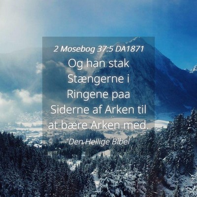 Picture 04 - 2 Mosebog 37:5 DA1871 - Og han stak Stængerne i Ringene paa Siderne af - Bible Verse Picture