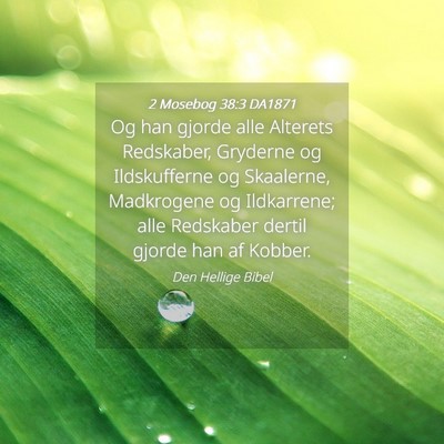 Picture 04 - 2 Mosebog 38:3 DA1871 - Og han gjorde alle Alterets Redskaber, Gryderne - Bible Verse Picture