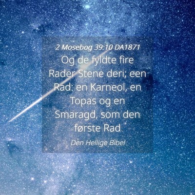 Picture 04 - 2 Mosebog 39:10 DA1871 - Og de fyldte fire Rader Stene deri; een Rad: en - Bible Verse Picture