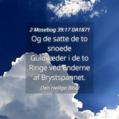 Picture 04 - 2 Mosebog 39:17 DA1871 - Og de satte de to snoede Guldkæder i de to Ringe - Bible Verse Picture