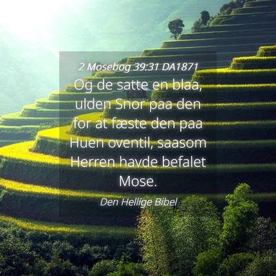Picture 04 - 2 Mosebog 39:31 DA1871 - Og de satte en blaa, ulden Snor paa den for at - Bible Verse Picture