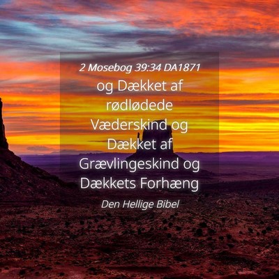 Picture 04 - 2 Mosebog 39:34 DA1871 - og Dækket af rødlødede Væderskind og Dækket - Bible Verse Picture
