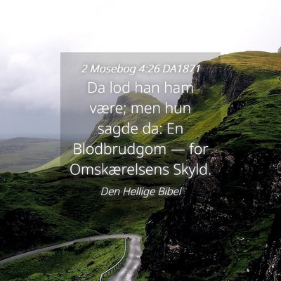 Picture 04 - 2 Mosebog 4:26 DA1871 - Da lod han ham være; men hun sagde da: En - Bible Verse Picture