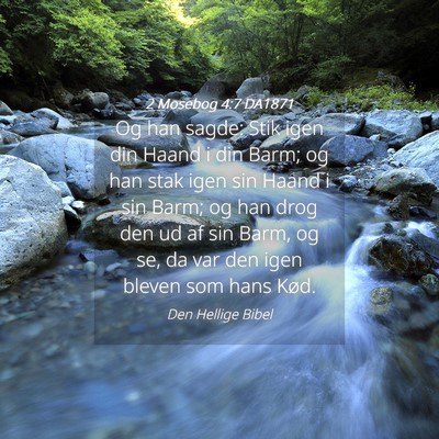 Picture 04 - 2 Mosebog 4:7 DA1871 - Og han sagde: Stik igen din Haand i din Barm; og - Bible Verse Picture