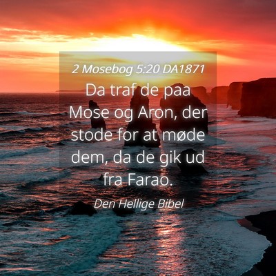 Picture 04 - 2 Mosebog 5:20 DA1871 - Da traf de paa Mose og Aron, der stode for at - Bible Verse Picture