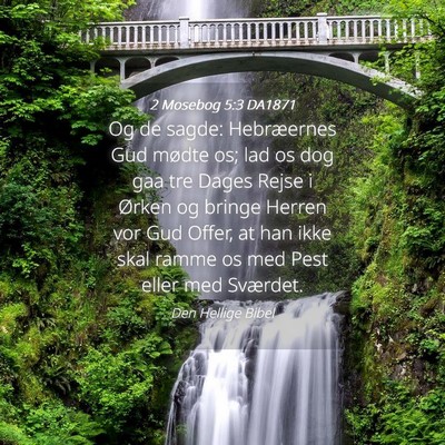 Picture 04 - 2 Mosebog 5:3 DA1871 - Og de sagde: Hebræernes Gud mødte os; lad os - Bible Verse Picture