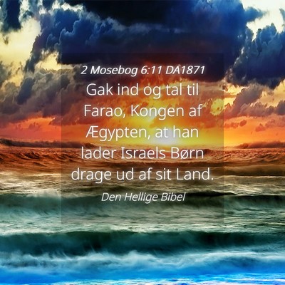 Picture 04 - 2 Mosebog 6:11 DA1871 - Gak ind og tal til Farao, Kongen af Ægypten, at - Bible Verse Picture