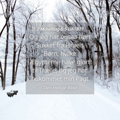 Picture 04 - 2 Mosebog 6:5 DA1871 - Og jeg har ogsaa hørt Sukket fra Israels Børn, - Bible Verse Picture