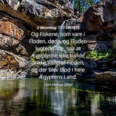 Picture 04 - 2 Mosebog 7:21 DA1871 - Og Fiskene, som vare i Floden, døde, og Floden - Bible Verse Picture