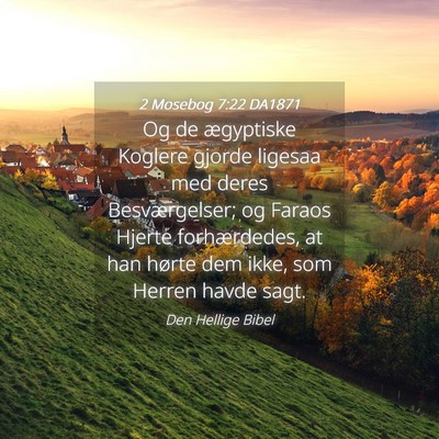 Picture 04 - 2 Mosebog 7:22 DA1871 - Og de ægyptiske Koglere gjorde ligesaa med deres - Bible Verse Picture