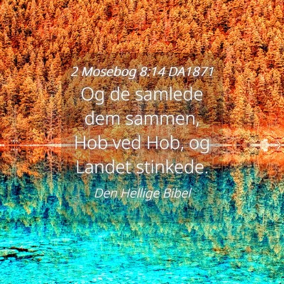 Picture 04 - 2 Mosebog 8:14 DA1871 - Og de samlede dem sammen, Hob ved Hob, og Landet - Bible Verse Picture