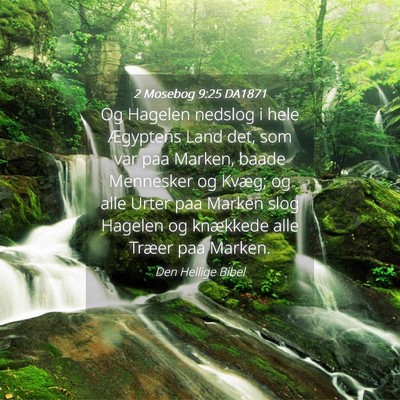 Picture 04 - 2 Mosebog 9:25 DA1871 - Og Hagelen nedslog i hele Ægyptens Land det, som - Bible Verse Picture