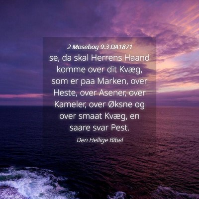 Picture 04 - 2 Mosebog 9:3 DA1871 - se, da skal Herrens Haand komme over dit Kvæg, - Bible Verse Picture