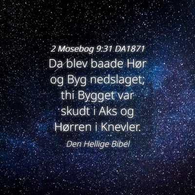 Picture 04 - 2 Mosebog 9:31 DA1871 - Da blev baade Hør og Byg nedslaget; thi Bygget - Bible Verse Picture