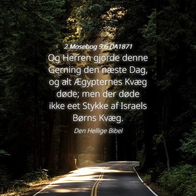 Picture 04 - 2 Mosebog 9:6 DA1871 - Og Herren gjorde denne Gerning den næste Dag, og - Bible Verse Picture