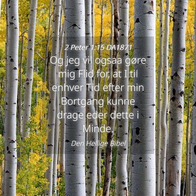 Picture 04 - 2 Peter 1:15 DA1871 - Og jeg vil ogsaa gøre mig Flid for, at I til - Bible Verse Picture