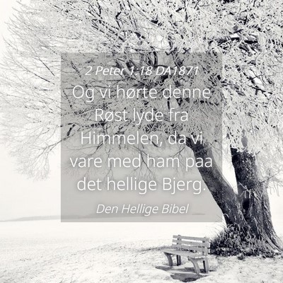 Picture 04 - 2 Peter 1:18 DA1871 - Og vi hørte denne Røst lyde fra Himmelen, da vi - Bible Verse Picture