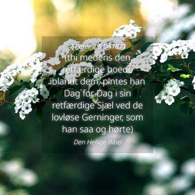 Picture 04 - 2 Peter 2:8 DA1871 - (thi medens den retfærdige boede iblandt dem, - Bible Verse Picture