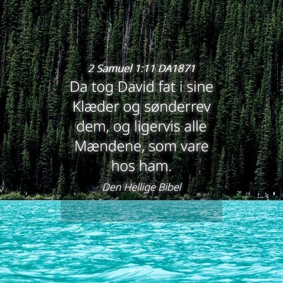 Picture 04 - 2 Samuel 1:11 DA1871 - Da tog David fat i sine Klæder og sønderrev - Bible Verse Picture