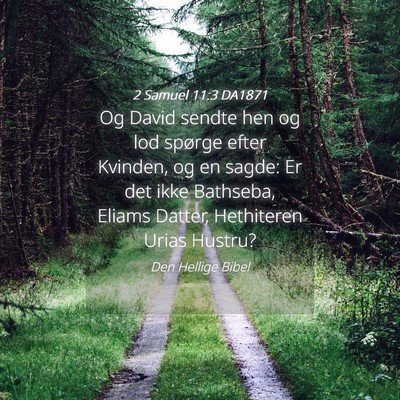 Picture 04 - 2 Samuel 11:3 DA1871 - Og David sendte hen og lod spørge efter Kvinden, - Bible Verse Picture