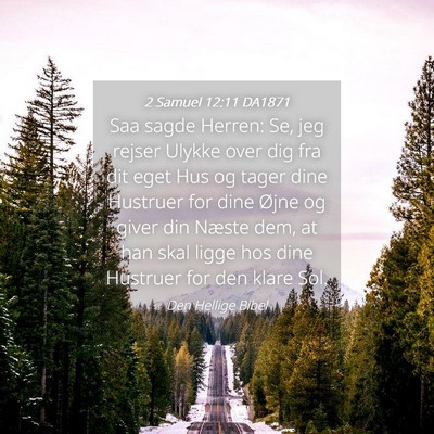 Picture 04 - 2 Samuel 12:11 DA1871 - Saa sagde Herren: Se, jeg rejser Ulykke over dig - Bible Verse Picture