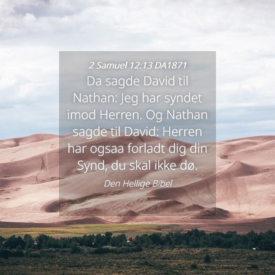 Picture 04 - 2 Samuel 12:13 DA1871 - Da sagde David til Nathan: Jeg har syndet imod - Bible Verse Picture