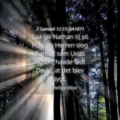Picture 04 - 2 Samuel 12:15 DA1871 - Saa gik Nathan til sit Hus, og Herren slog - Bible Verse Picture