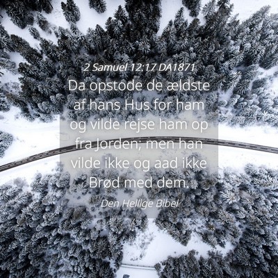 Picture 04 - 2 Samuel 12:17 DA1871 - Da opstode de ældste af hans Hus for ham og - Bible Verse Picture