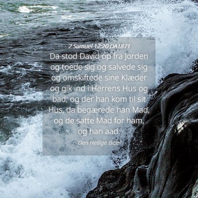 Picture 04 - 2 Samuel 12:20 DA1871 - Da stod David op fra Jorden og toede sig og - Bible Verse Picture