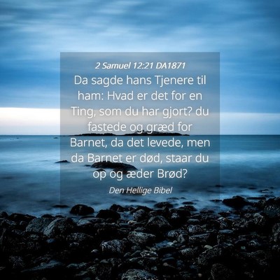 Picture 04 - 2 Samuel 12:21 DA1871 - Da sagde hans Tjenere til ham: Hvad er det for en - Bible Verse Picture
