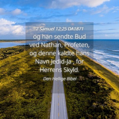 Picture 04 - 2 Samuel 12:25 DA1871 - og han sendte Bud ved Nathan, Profeten, og denne - Bible Verse Picture